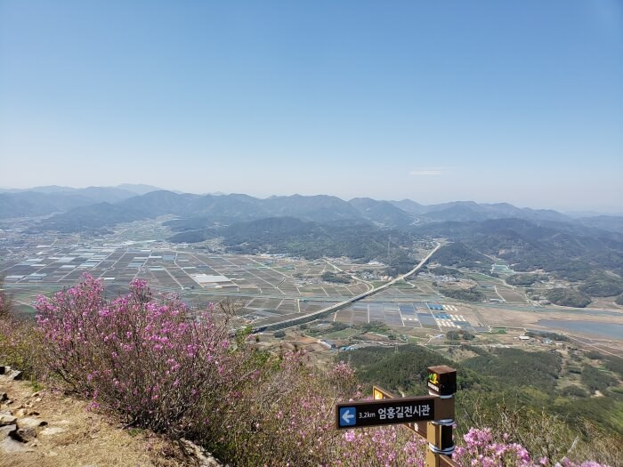 Another view from the top of Georyusan showing a highway cutting across Goseong with some flowering bushes