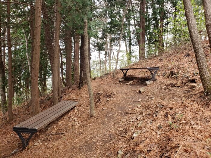 A pair of benches along the path on an incline surrounded by pine trees