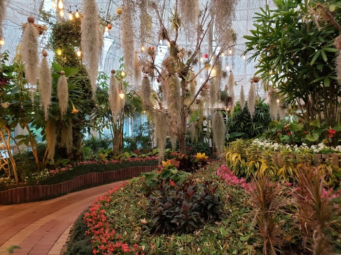 A brick pathway through the botanical garden going around a centerpiece with red flowers and drooping plants overhead mixed with dangling lights
