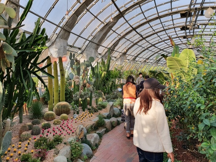 People walking past some cactus in the domed botanical garden