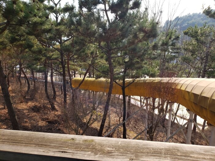 A long conveyor slide going down the hill between trees