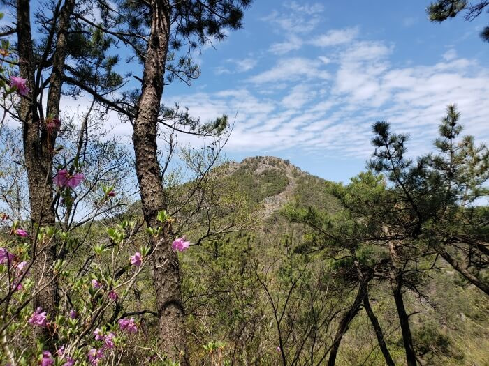 A bit closer view of Georyusan from behind a few trees and flowering bushes