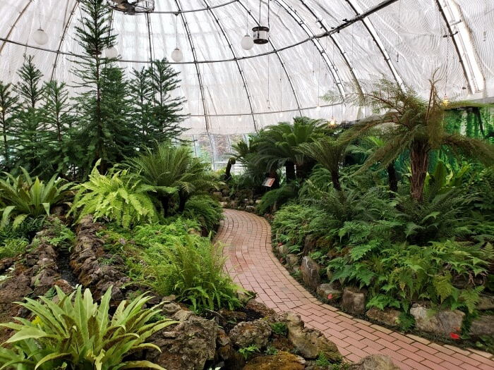 Inside the greenhouse botanical garden dome with a path through the plants