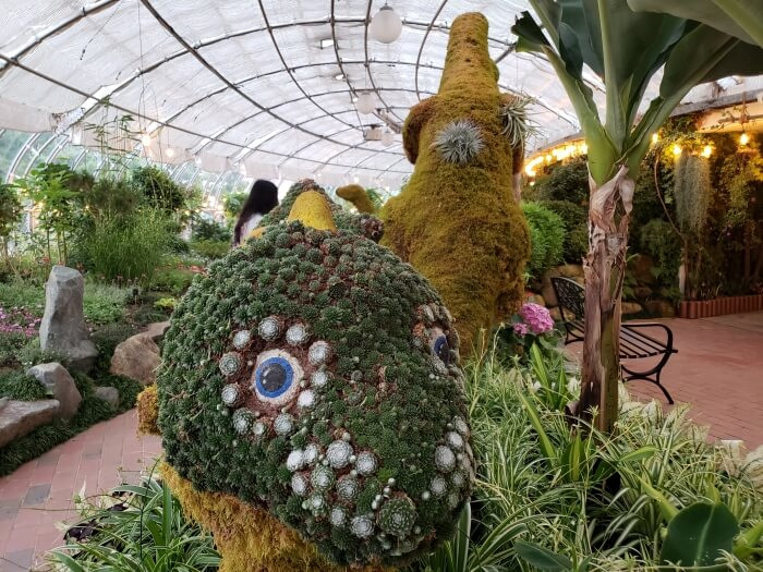 A dinosaur head covered with numerous tiny plants with blue eyes and a mossy dinosaur behind the head
