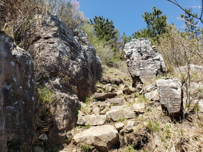 A rocky path leading up to the peak with a few small trees