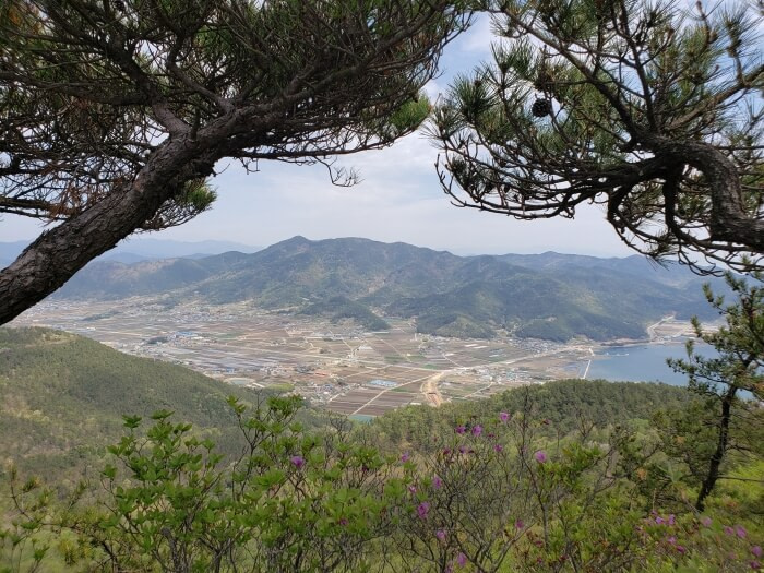 View of mountains and town between two trees