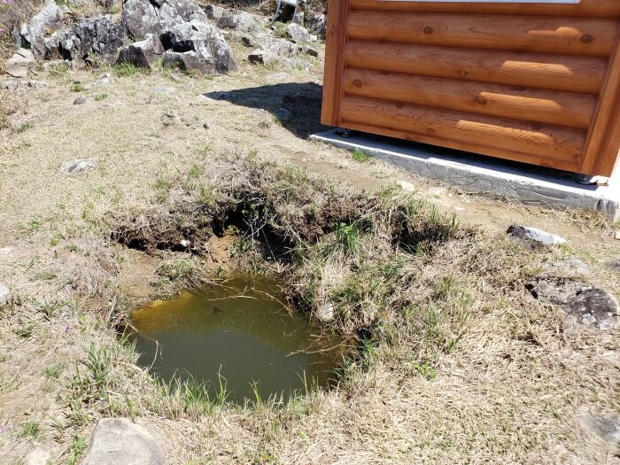 A well or hole filled with water and some frogs next to a wooden shelter