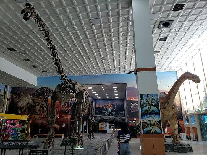 Dinosaur figures with long necks set up inside the expo building