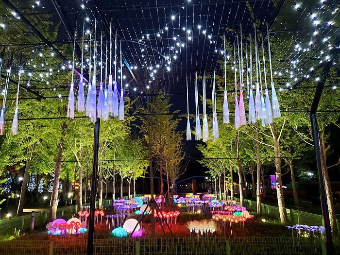 Fiber optic lights dangling among the trees at night