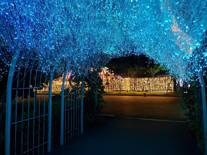Light blue fiber optic lights dangling in an archway at night