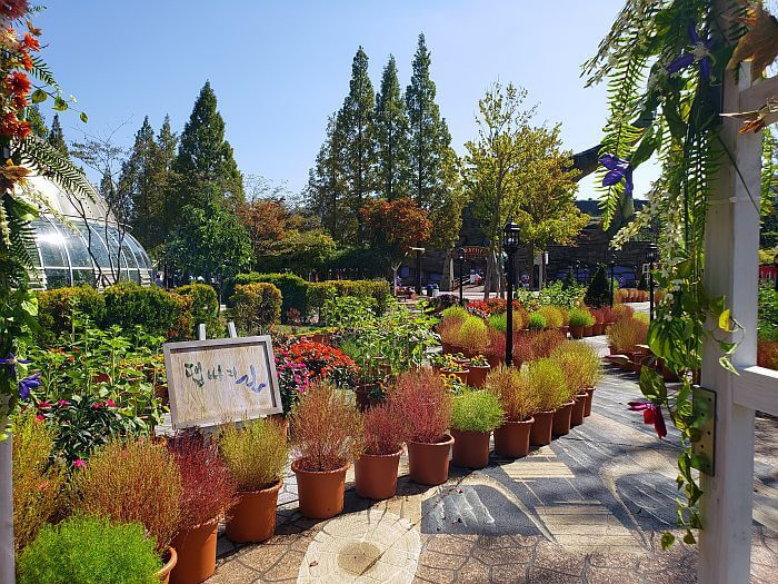 Potted plants and dappsari along a curved walkway