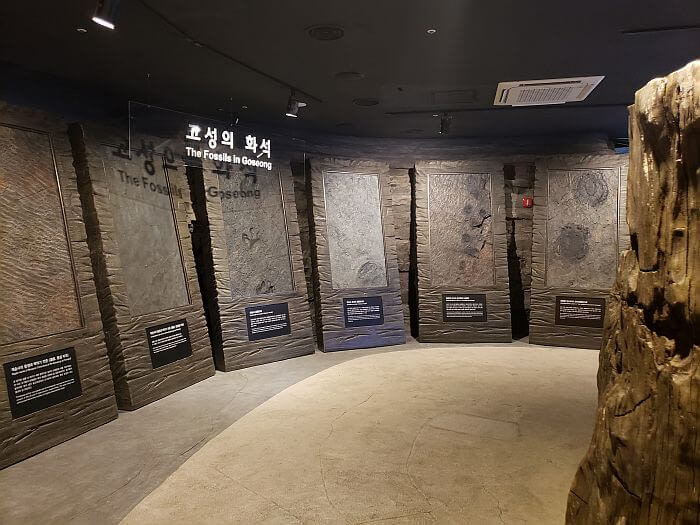 Sections of dinosaur footprints and fossils found in Goseong labeled