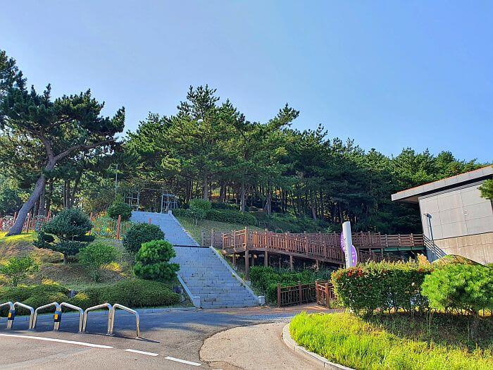 Stairs and a wooden deck leading up a hill with a forest
