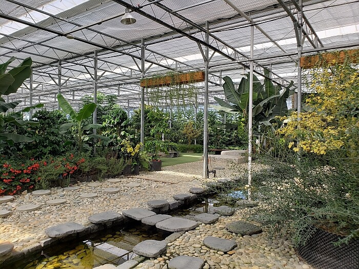A stream going across the greenhouse bordered by rocks