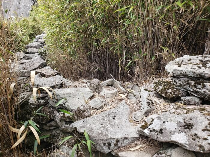 A wall of rocks through the bamboo