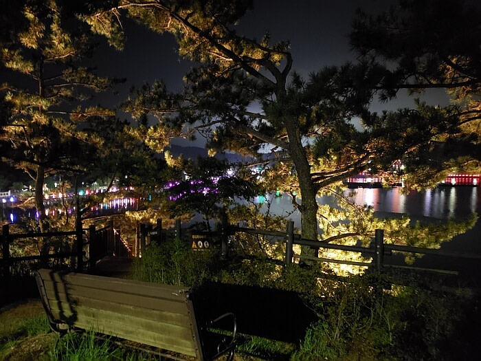 A bench and trees on top of a small island at night with lights illuminating the trees and casting colors on the water