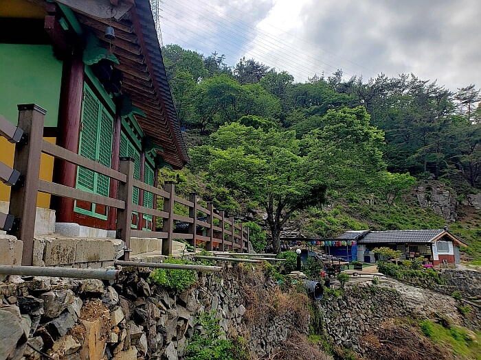 Byeogamsa temple with a prominent tree in the center