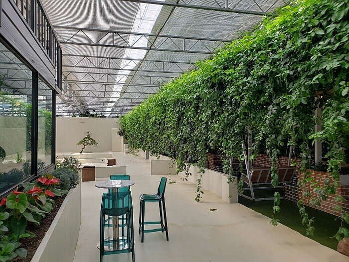 Entering a new world in the botanical garden with vines growing along a corridor on the right and an area of concrete with a single tree at the end