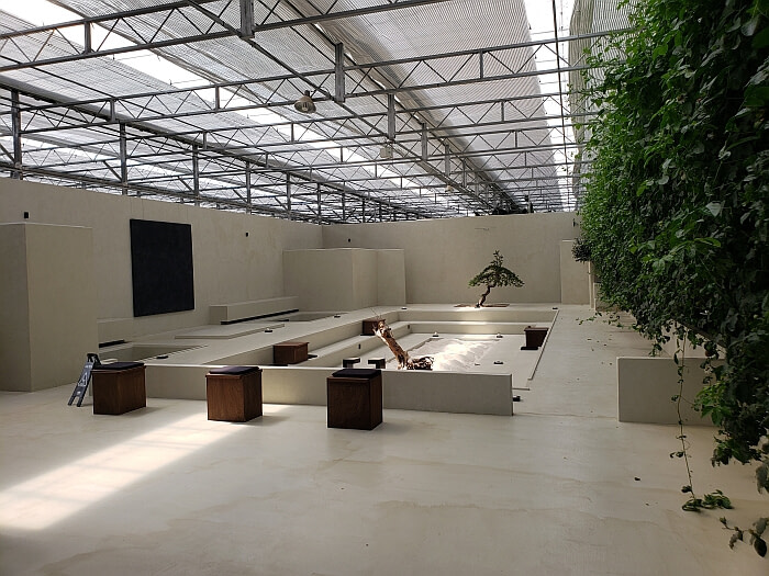 A concrete area inside the greenhouse with a rectangular section of sand in the middle and a single tree at the end
