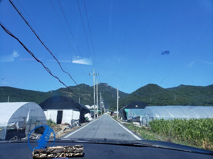 Driving down a country road between greenhouses and crop fields with mountains in the background