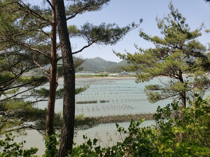 More fishing nets in the water with mountains in the background