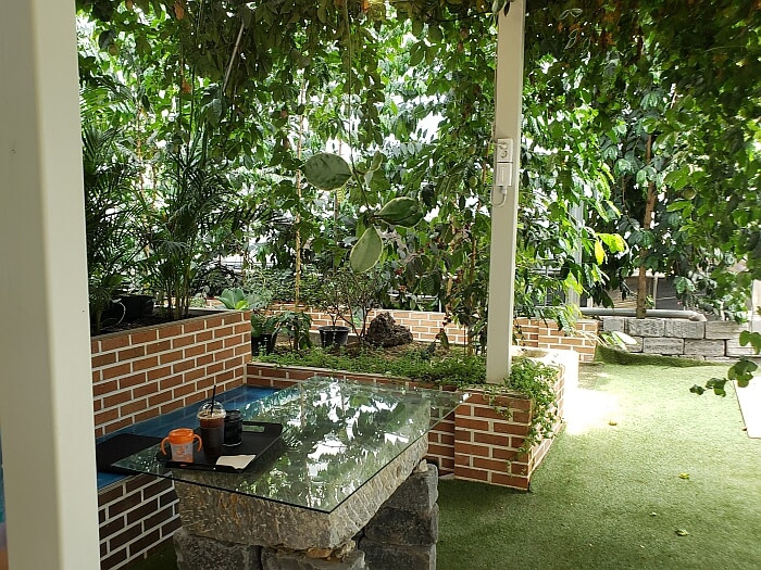 Items on a table under the vines