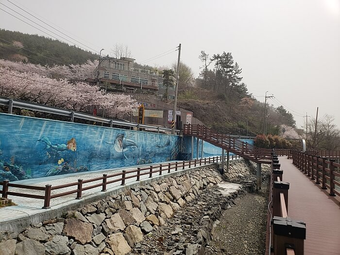 A painted mural on a wall of a mermaid swimming underwater with wooden stairs leading from the boardwalk to the road where cherry blossom trees are blooming