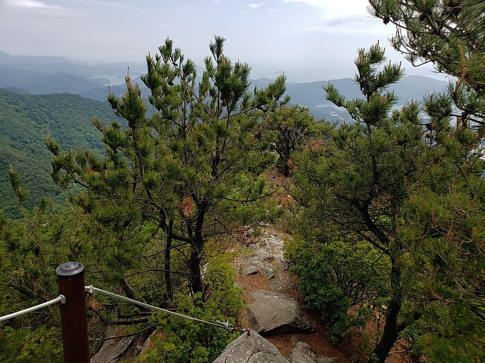 A path leading down from the peak with a rope on one side and pines on both sides