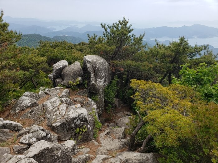 A rocky path leading down from the peak