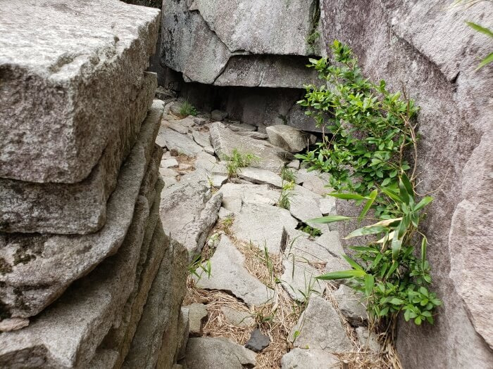 A small opening in the rock wall near the base of the rocky cliff