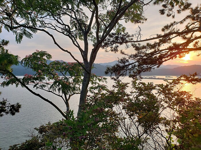 A sunset from the top of a small island with a view of the water through the trees