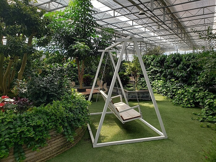 Sunlight shining on a swinging bench among plants in the greenhouse