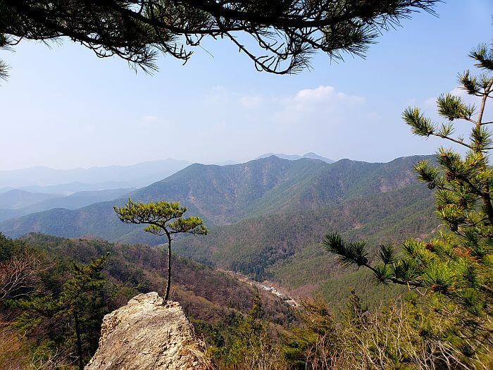 A small, lone tree atop a large rock jutting out over the valley