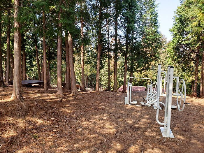 Exercise machines in the forest