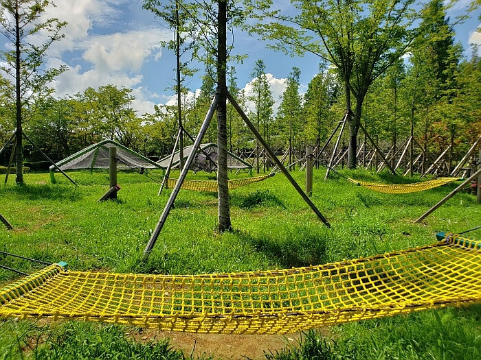 Yellow hammocks above the grass among small trees