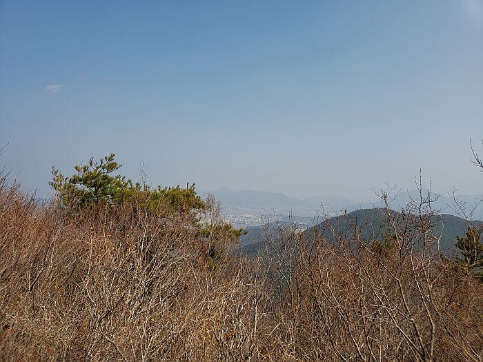 Leafless branches obstructing the view of the town center of Goseong