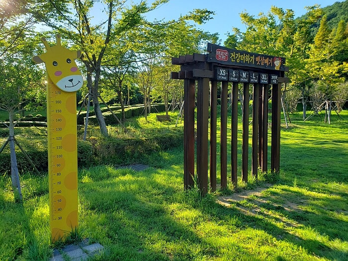 Measuring structures in the grass for height and width of a person