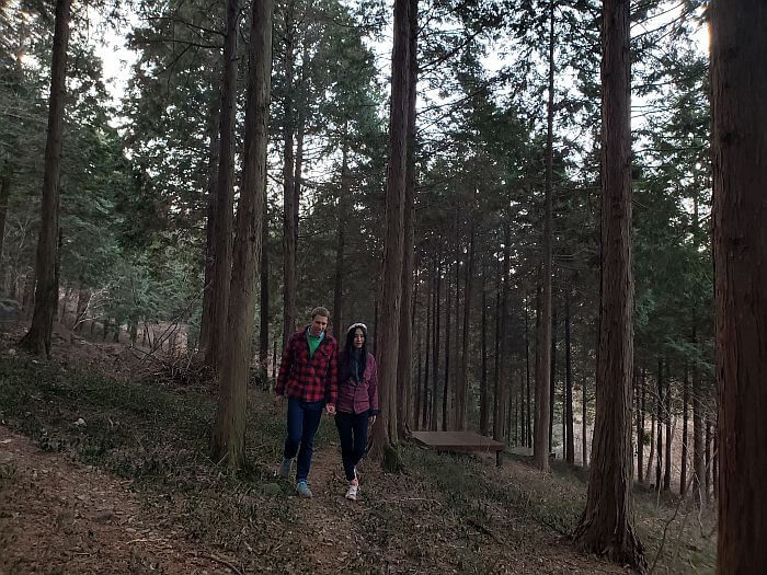 Nate and Alice walking through the cypress forest holding hands