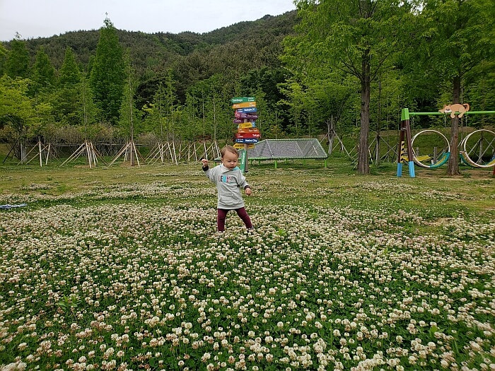 Noah standing in a field of blossoming clover