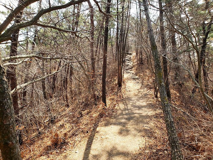 A path along the ridge with a sloped drop-off on each side