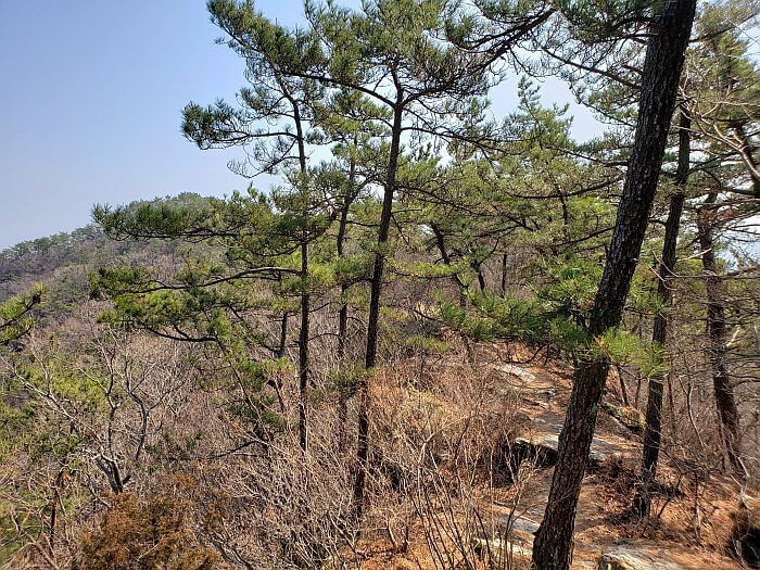 Rocky terrain on the path to Galmobong Peak