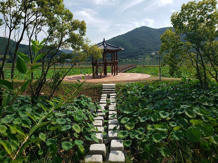 Stepping stone across a lotus pond leading to a gazebo at the center