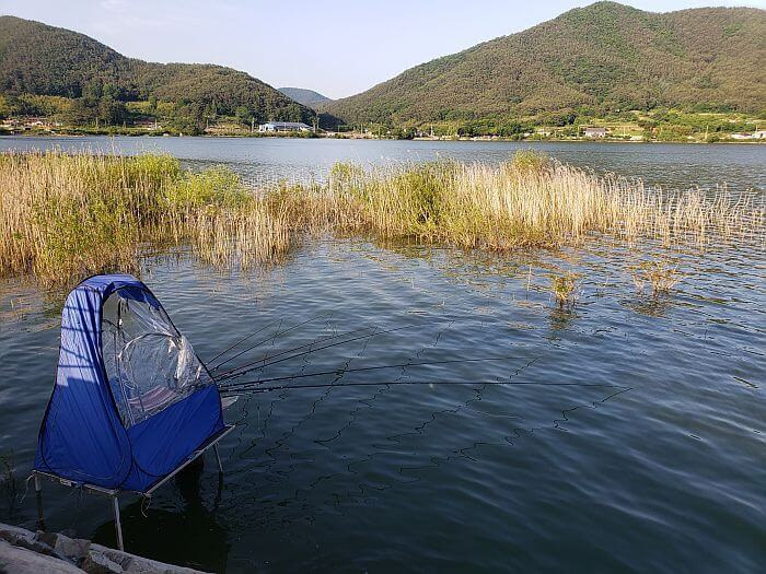 A tiny fishing tent set up above the water with 6 fishing rods in the water