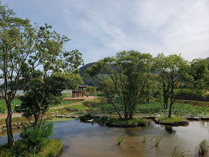 Trees growing from tiny islands in a pond around a gazebo