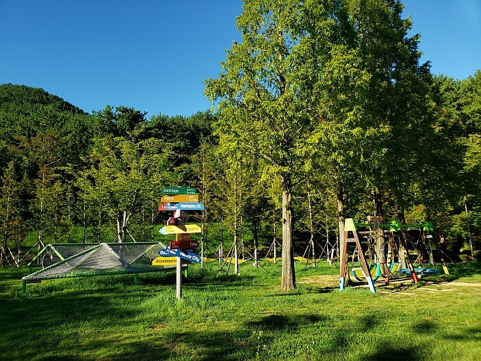 Whole playground area in the grass with shadows near sunset
