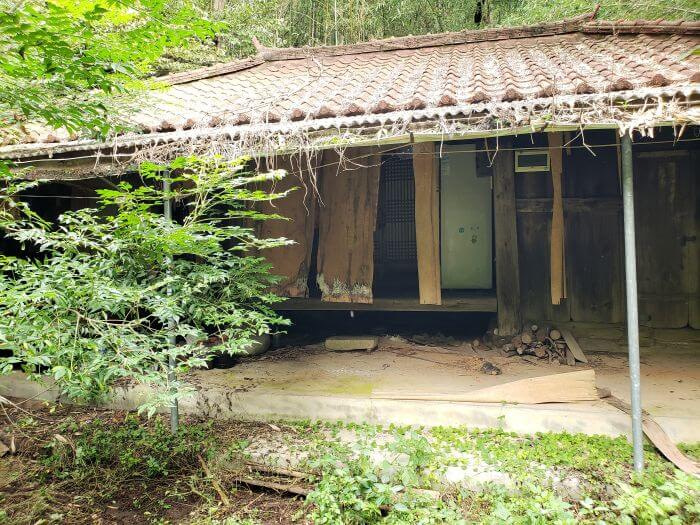 An abandoned hanok near a cluster of bamboo