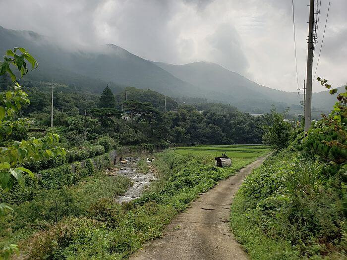 A country road leading past some rice fields along a stream