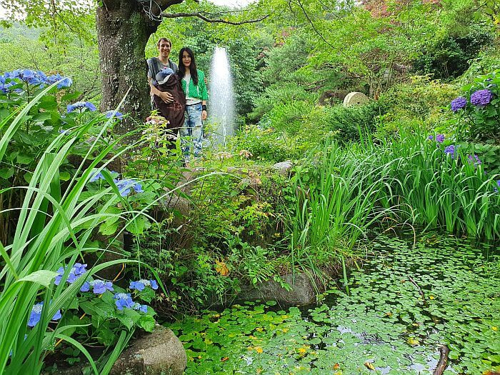 The family standing in a garden under a tree next to a pond and fountain