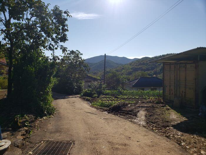 Farms and gardens along a village road