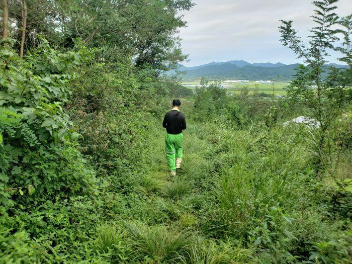 A man walking down a mountain on a grassy path